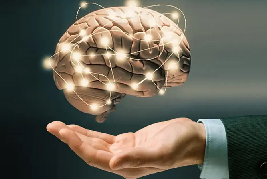 پردازش اطلاعات در تفکر منتقدانه